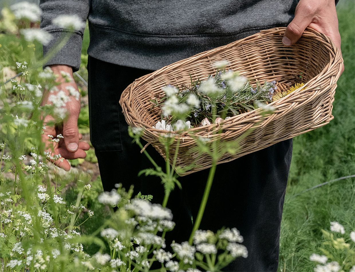 JDC_Carousel_SamiméOzem_2