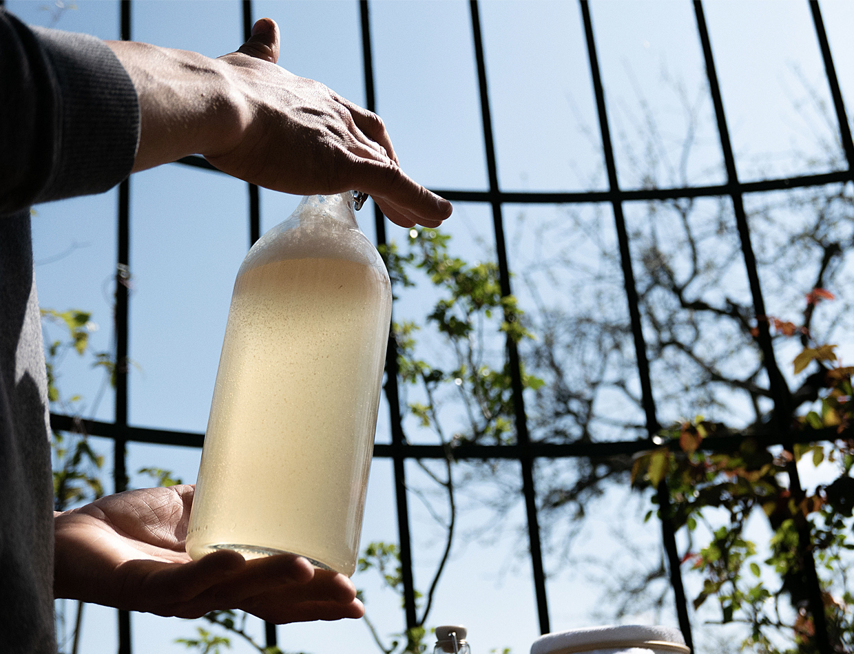 JDC_Carousel_SamiméOzem_6